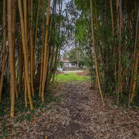 Wersehaus Mit Direktem Wasserzugang Inkl Kanu Nyaraló *
