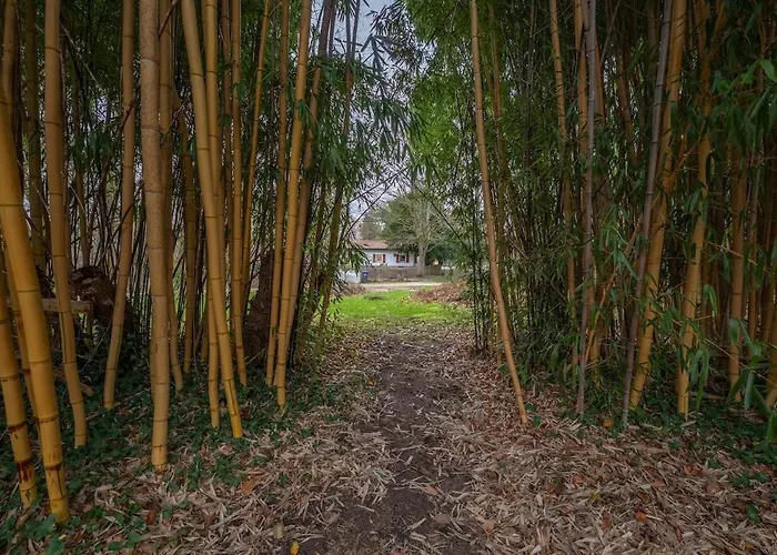 Wersehaus Mit Direktem Wasserzugang Inkl Kanu Tatil Evi *